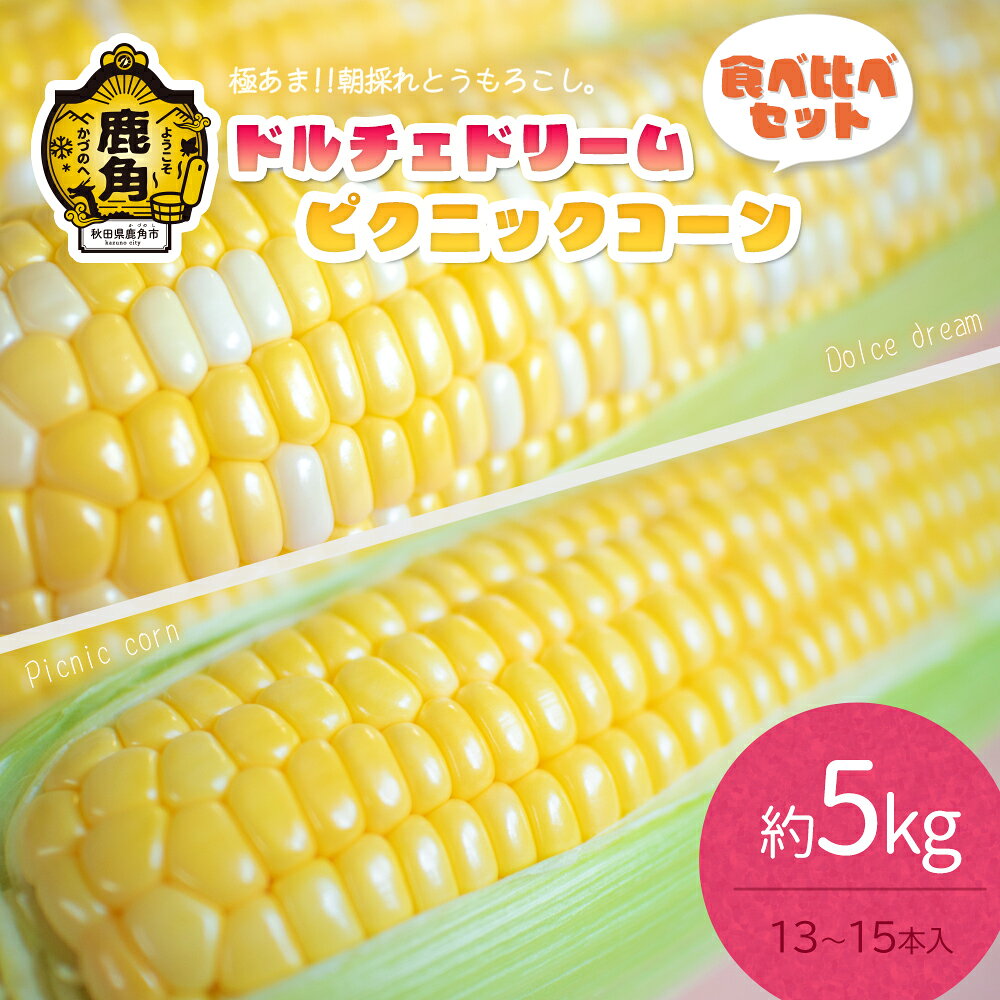 【ふるさと納税】《 先行予約 》 とうもろこし 5kg ( 13～15本 ) ドルチェドリーム & ピクニックコーン 採れたて 農家直送 朝採り 甘い 鹿角産 新鮮 野菜 安全 トウモロコシ スイートコーン フルーツコーン ギフト 故郷 秋田 あきた 鹿角市 鹿角 送料無料 【さとう農園】