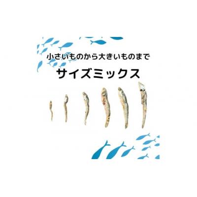 ふるさと納税 愛南町 ごまいりこ 850g 伊予乃国 いりこ おつまみ おやつ 愛媛県 愛南町 |  | 02