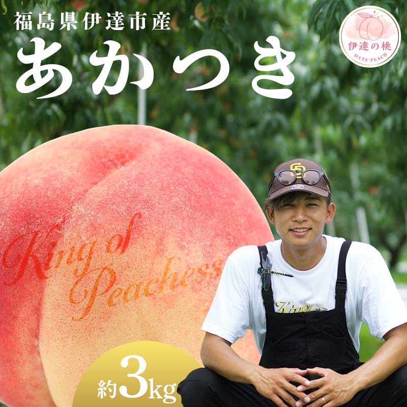 【2026年出荷分先行予約】福島県産 あかつき 約3kg (8～12玉) KING OF PEACHESS キングオブピーチ 伊達の桃 桃 フルーツ 果物 もも モモ momo F21C-132