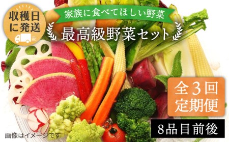 【全3回定期便】【栽培期間中農薬・化学肥料不使用】こだわり 野菜 セット （ 8品前後 ） 《糸島》【オーガニックナガミツファーム】 [AGE016] 野菜セット 野菜 やさい サラダ 詰め合わせ トマト とまと