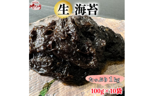 岬だよりの＜数量限定＞生海苔(冷凍)100g×10袋(1kg)【1484483】