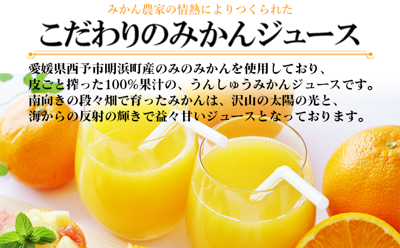 ＜明浜みかんジュース ムテンカ 720ml×6本入り E-6＞ 温州みかん ミカン 蜜柑 柑橘 オレンジジュース ストレート 飲料 無添加 特産品 贈答用 ギフト プレゼント あけはまシーサイドサンパ