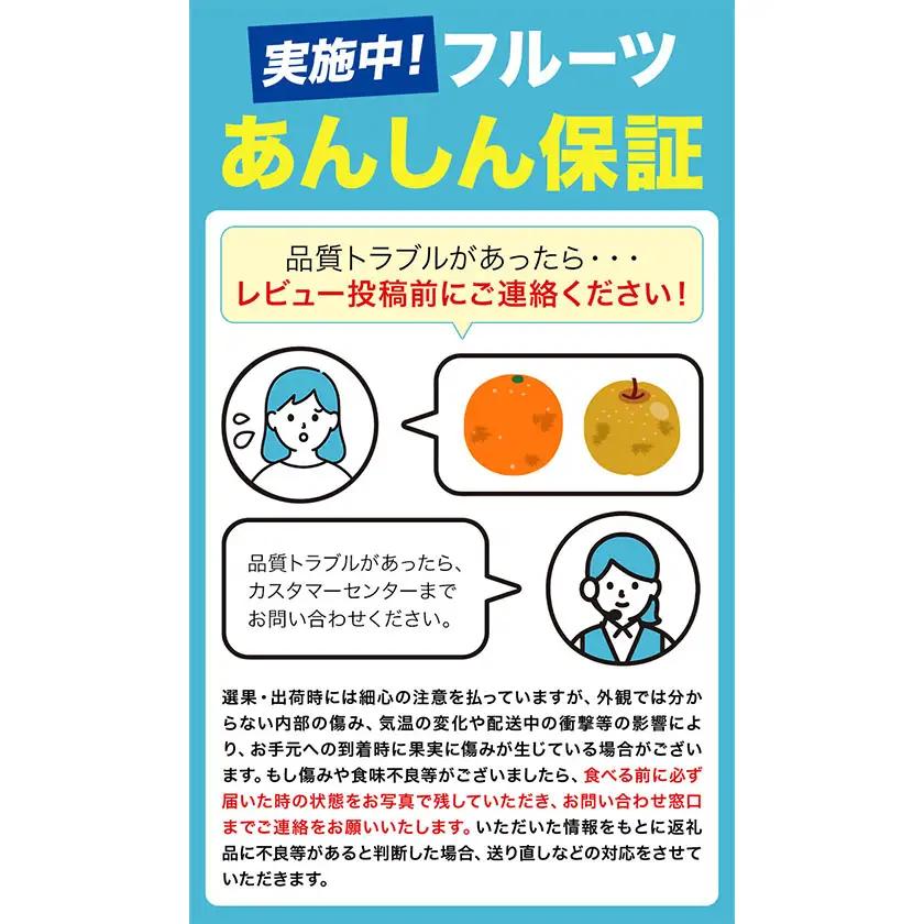 ご家庭用 不知火 約800g 