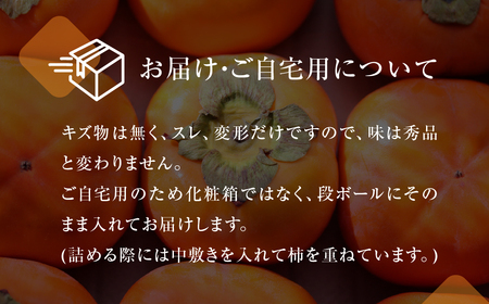 次郎柿 5kg 15~25玉 訳あり 甘 柿