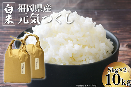 米 令和7年 元気つくし 精米 5kg × 2袋 計 10kg [ベネフィス 福岡県 筑紫野市 21760895]