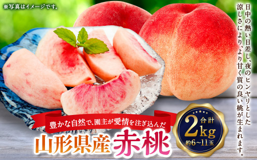 豊かな自然で、園主が愛情を注ぎ込んだ桃 （赤桃） 約2kg （6～11玉） 果物 くだもの 夏果実 フルーツ 【2026年8月発送予定】