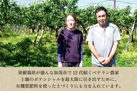 【2026年先行予約】【贈答用】和梨 あきづき 5kg（8～12玉）《9月中旬から順次発送》 果物 なし 梨 フルーツ 新鮮 新潟のフルーツ産地 加茂市 まるさん金子果樹園 梨