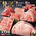 【ふるさと納税】【定期便】 黒毛和牛・黒豚 贅沢 定期便 計6回 合計6.26kg | ふるさと納税 牛肉 豚肉 高級 詰め合わせ 黒豚 鹿児島黒豚 豚肉 豚 黒毛和牛 和牛 牛 ロース 切り落とし しゃぶしゃぶ 鹿児島 大崎町 ふるさと 人気 送料無料