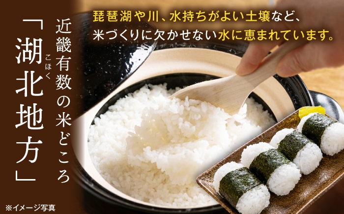 滋賀県 湖北のミルキークイーン 9kg (白米)　米 お米 ご飯 ごはん ゴハン おにぎり 炊き込みご飯 人気 おすすめ