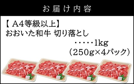 2436R_【A4～A5等級】小分けで便利！ おおいた和牛 切り落とし 1kg (250g×4P)