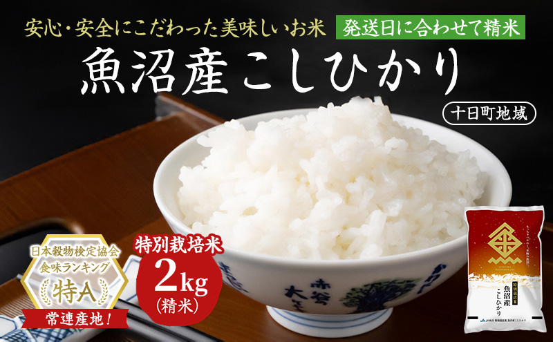 【令和8年産 先行予約】特別栽培米 魚沼産こしひかり(十日町地域) 精米 2kg 米 お米 コシヒカリ 十日町市