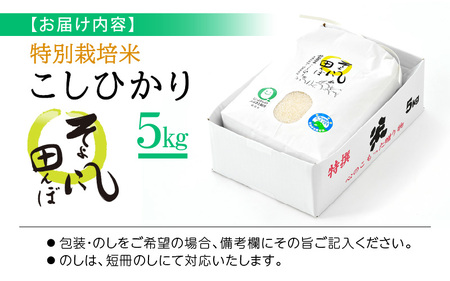令和7年産 新米 特別栽培米 コシヒカリ 5kg 福井県産米（有機肥料100% 農薬7割減）【令和7年産 人気品種】 [e10-b004]