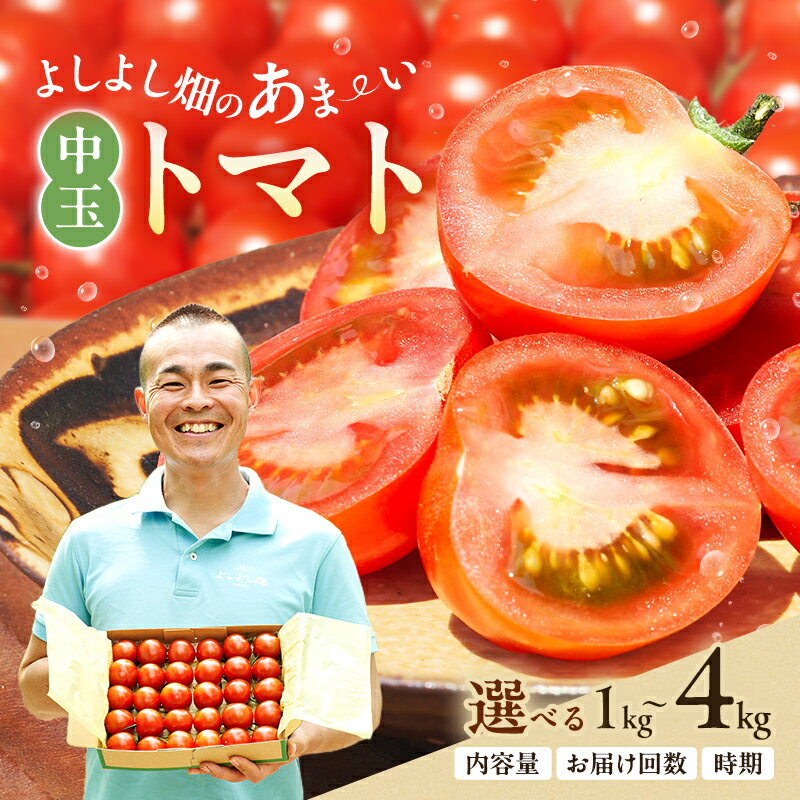 【ふるさと納税】トマト 中玉 選べる内容量 お届け時期 よしよし畑のあま～いトマト とまと 季節の野菜 旬の野菜 最旬お届け 新鮮 農家直送 夏野菜 野菜　お届け：2025年11月中旬～2026年5月下旬