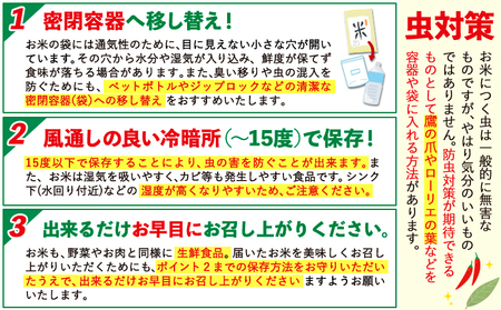 【12ヶ月定期便】無洗米 こしひかり 10kg 