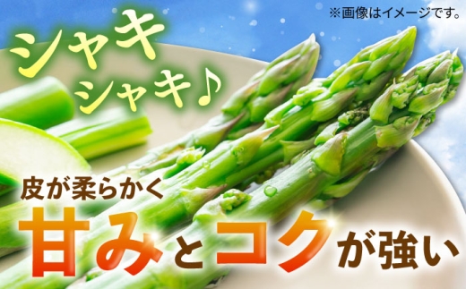 壱岐産 アスパラガス 1kg（L〜2Lサイズ）《壱岐市》【壱岐市農業協同組合】[JBO004] 野菜 旬 春野菜 夏野菜 新鮮 産地直送 アスパラ 冷蔵配送 季節の野菜 グリーンアスパラガス 1300