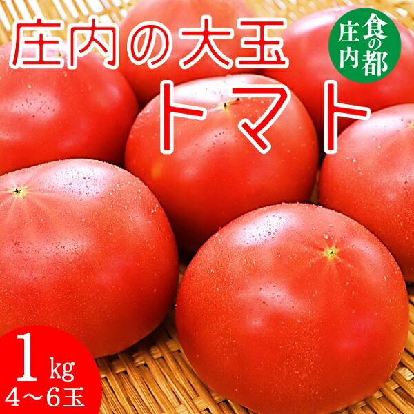 【ふるさと納税】食の都庄内　庄内の大玉トマト約1kg（4～6玉） ※7月上旬より順次配送 （有限会社庄内旬青果）