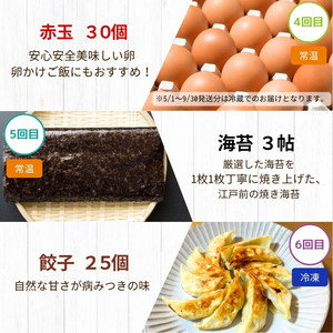 【 定期便 6回 】 千葉 君津市 福袋 | 特産品 毎月ちがう返礼品が届く！ お試し お楽しみ 人気商品 かずさ和牛 総菜 セット ハンバーグ コロッケ ねぎとろ ネギトロ 海苔 冷凍 米粉 パン 