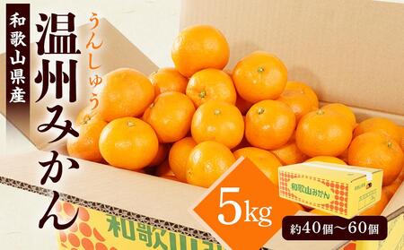 ［先行予約］［2026年11月初旬から11月末頃順次発送］ 和歌山県産温州みかん 約5kg（40個～60個）秀品 こだわり農家厳選！［KG31］