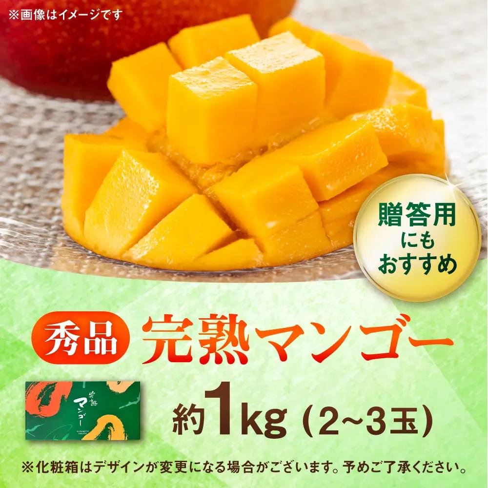 【先行予約】秀品 完熟マンゴー約1kg（2～3玉）【宮本マンゴー農園】[AYDU003]