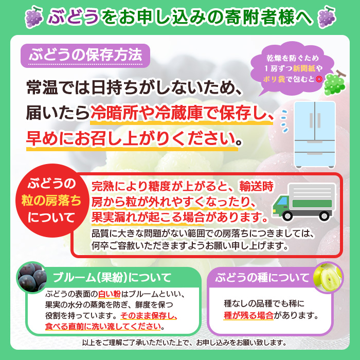 【期間限定】希少！冬のシャインマスカット 秀品 2房入り (1kg～1.2kg) 【令和8年産先行予約】FS25-685
