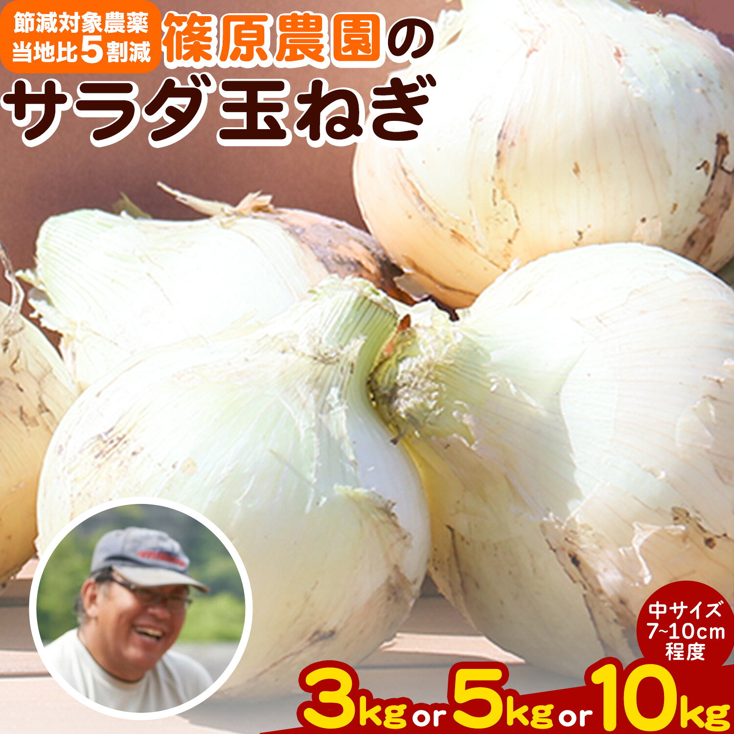 【ふるさと納税】 玉ねぎ 節減対象農薬 当地比5割減 サラダ玉ねぎ (中サイズ) 3kg 5kg 10kg《4月上旬-5月下旬頃出荷予定》熊本県 葦北郡 津奈木町 篠原農園 野菜 たまねぎ 自然栽培 大小サイズ混合
