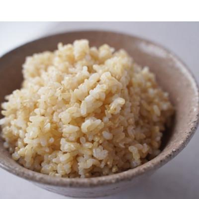 ふるさと納税 藤岡市 有機こしひかり【玄米】500g×12袋(令和7年産) |  | 01