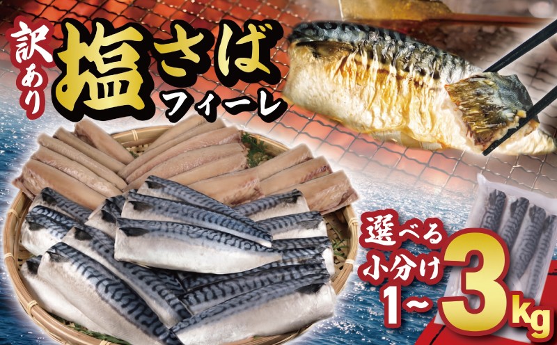 
                  訳あり 塩サバフィーレ 選べる容量 約1kg 約2kg 約3kg ノルウェー産 冷凍 ｻﾊﾞ 鯖 塩サバ 塩鯖 海鮮 魚 大容量 規格外 不揃い 青魚 おかず 惣菜 魚介 おつまみ 弁当 人気 冷凍食品 グルメ 贈答 贈物 ギフト 長期保存 小分け お取り寄せ BBQ ふるさと納税 ふるさと納税サバ 送料無料 千葉県 銚子市 大一奈村魚問屋
                