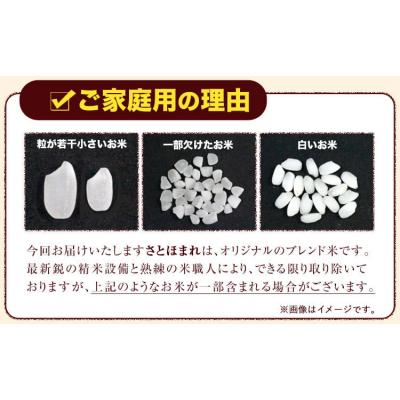 ふるさと納税 玉東町 熊本県産 さとほまれ 無洗米 ご家庭用 20kg 《7-14日以内に出荷予定(土日祝除く)》 |  | 01
