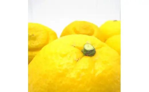【先行予約】特選 濃厚 不知火 (通称デコポン)  5kg+200g(痛み補償分)　※着日指定不可【ard259】 