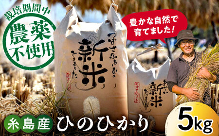 【令和6年産新米】糸島産 雷山のふもと 栽培期間中 農薬不使用 の 米 5kg　ヒノヒカリ 《糸島》【ツバサファーム】[ANI001] 白米 玄米