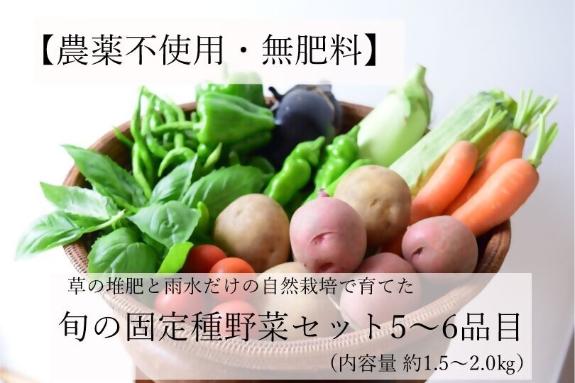 
                  【無農薬野菜セット】草の堆肥と雨水だけの自然栽培で育てた旬の固定種野菜セット 野菜 野菜セット 詰め合わせ 無農薬  食品 旬 グルメ ギフト お取り寄せ 自然栽培 国産 三重県多気町 TSN-01
                