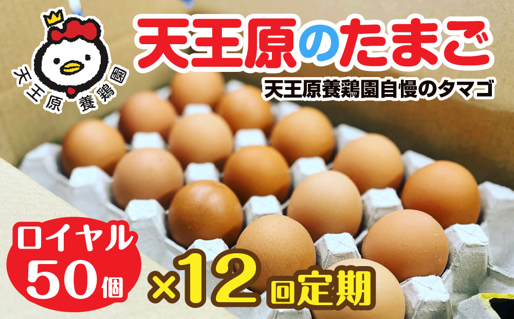 
            【定期便】12回定期 【天王原のたまご】 ロイヤル卵 50個入り【定期便 12回定期便 セット たまご 卵 玉子 タマゴ 濃厚  ハリ 弾力 ボリューム 甘味 旨味 卵黄 風味 生 コク 甘味 卵かけご飯 卵焼き 目玉焼き オムレツ 茶碗蒸し お菓子作り パンの材料】
          