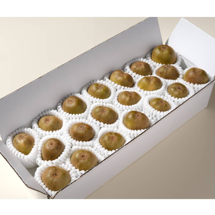 ＜Bonchi＞完熟レッドキウイ  1.6kg(21~24個入)