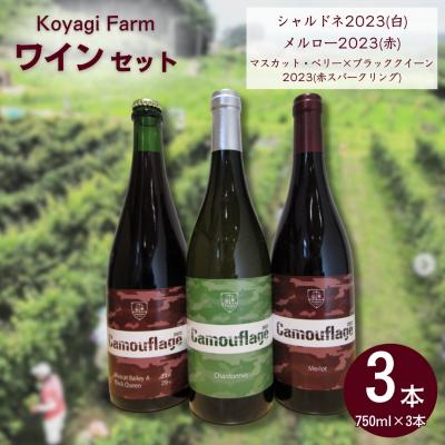 ふるさと納税 南相馬市 ワイン3本 シャルドネメルロー マスカットベリーブラッククイーン コヤギファーム cj002-ae
