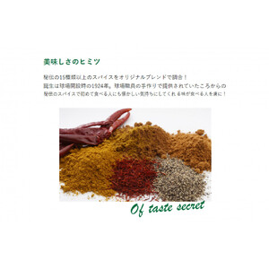 甲子園カレー＜中辛・辛口＞×3箱6食入  計6箱セット12食入 【カレー】