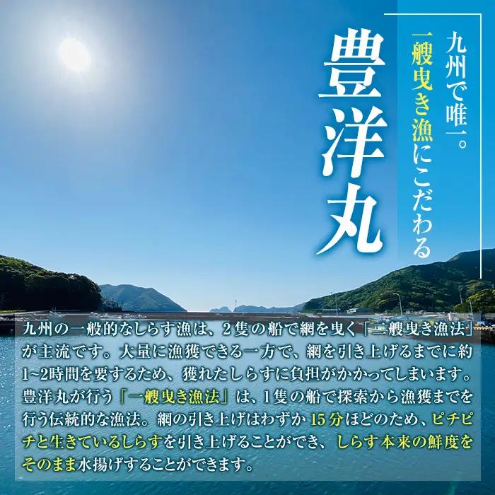 豊洋丸の鮮度抜群！ 生しらすセット (計200g・100g×2個) 【HK01】【OITAしらすhoyomaru豊洋丸】