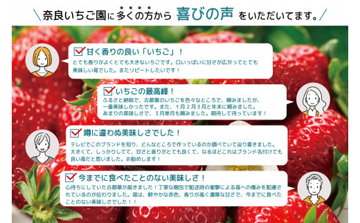 増量4パック 定期便 先行予約 数量限定 古都華 【1・2・3月発送3ヶ月定期便】奈良県特産 高級ブランドいちご「古都華」旬の３ヶ月定期便 // いちご イチゴ 古都華 フルーツ 果物 旬 限定  ブ