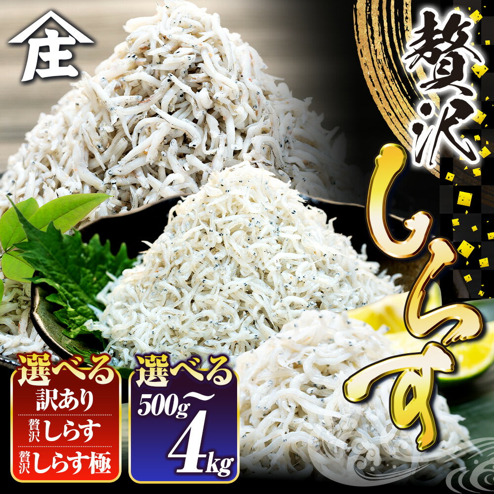 【ふるさと納税】 【高評価率94.2%】 選べる 国産しらす 500g - 4kg 訳あり 贈答 ギフト しらす干し 減塩 極み 山庄 ふるさと納税しらす ちりめん 規格外 しらす 魚 海鮮 魚介類 魚貝 規格外 健康 ダイエット 人気 ランキング 5000円 美味しい 筋トレ 南知多 愛知県