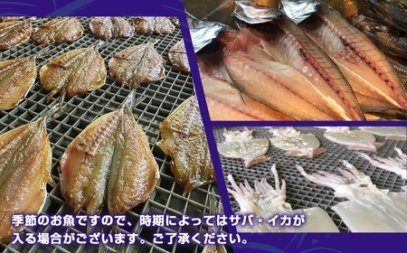 （冷凍）伝統製法　おいしい干物　３～５種　５００ｇ以上／三五七や　美味しい　ひもの　海の幸　海鮮　旬　三重県　南伊勢町　伊勢志摩