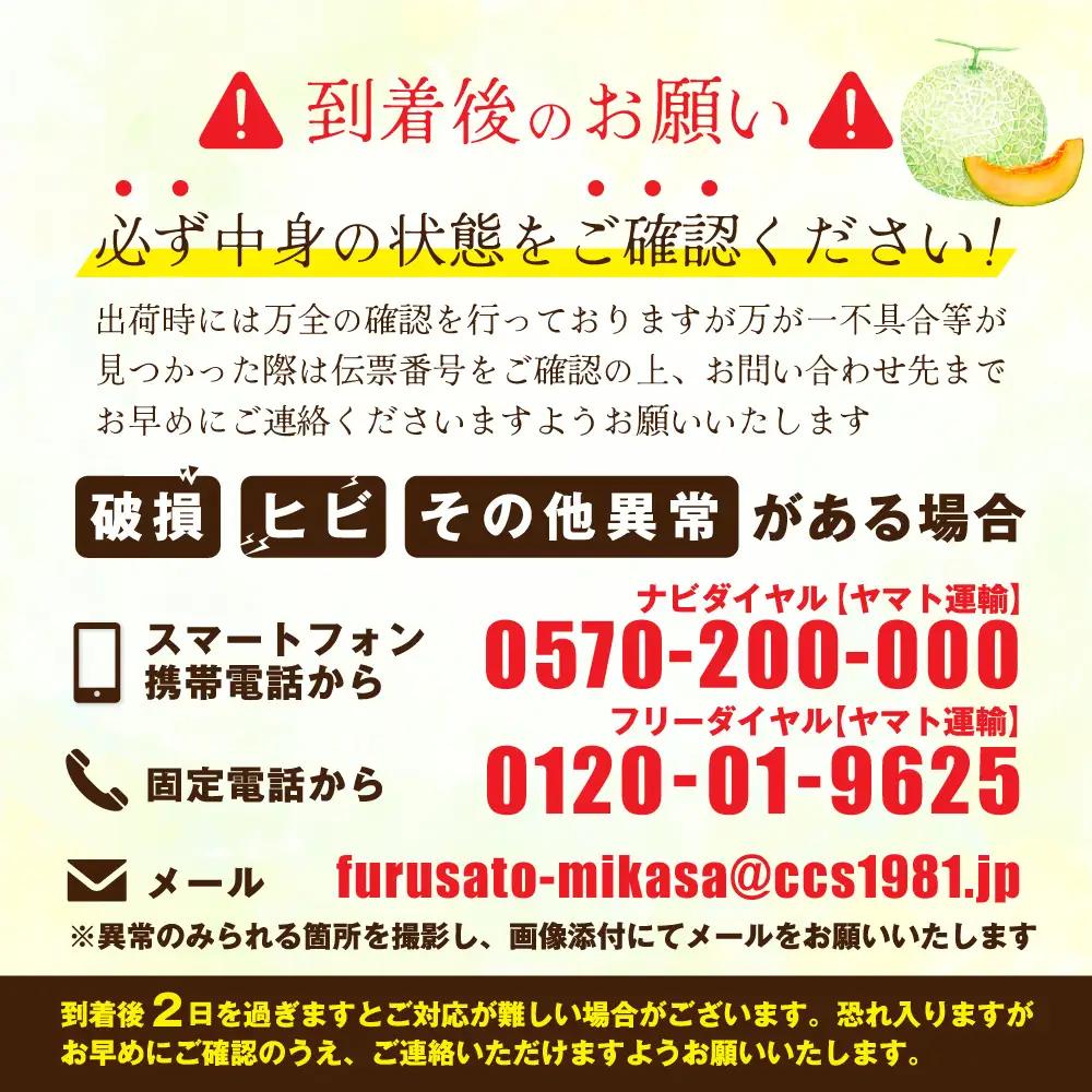 《2026年分受付中》大玉！とろける食感の北海道三笠メロン2玉入(3.2kg以上)【0106203】