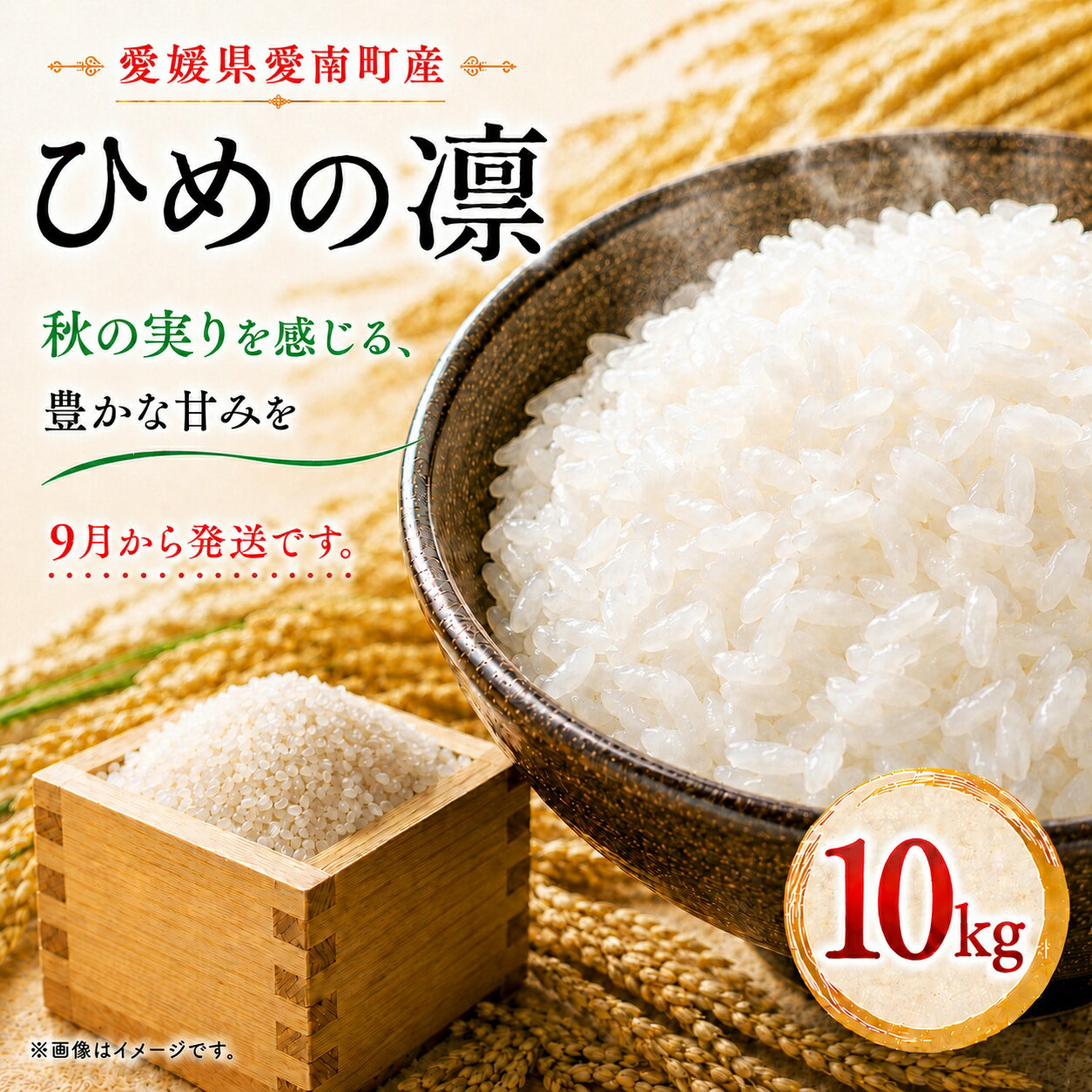 【ふるさと納税】【先行予約】 ひめの凜 【PremiumQuality】10kg 米 白米 国産 新米 ブランド 人気 令和8年産 発送期間:2026年9月～発送予定(なくなり次第終了) 愛媛 マルハラファーム 愛南 プレミアム クオリティ ランク 冷めても 甘み ツヤツヤ 噛みごたえ 大粒