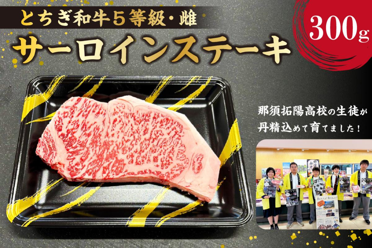 
            とちぎ和牛サーロインステーキ300g ns004-038 【肉 牛肉 和牛 黒毛和牛 ブランド牛 とちぎ和牛 霜降り肉】
          