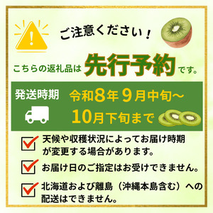 【先行予約】キウイ 黄金甘露 約1.9kg 希少品種 山口県阿武町産【2026年9月中旬～10月中旬発送】