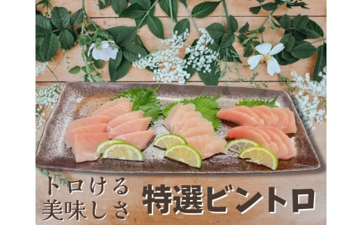 
            特選ビンチョウマグロ【トロビンチョウ】　M081-005
          