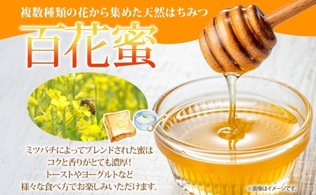 【 ふるさと納税 】北海道美深産 天然はちみつ百花蜜 600g×2瓶（計1.2kg） はちみつ 蜂蜜 百花蜜 ブレンド蜂蜜 みつばち ミツバチ 蜜蜂 純粋国産 国産 日本産 生 瓶タイプ アレンジ ク