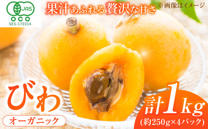
            【★先行予約★ 2026年4月末発送開始】びわ 約250g(4～7個)×4パック 枇杷 ビワ フルーツ 果物 くだもの 果実 旬 デザート 甘い 小分け びわ 広川町 / JAふくおか八女農産物直売所どろや [AFAB002]
          