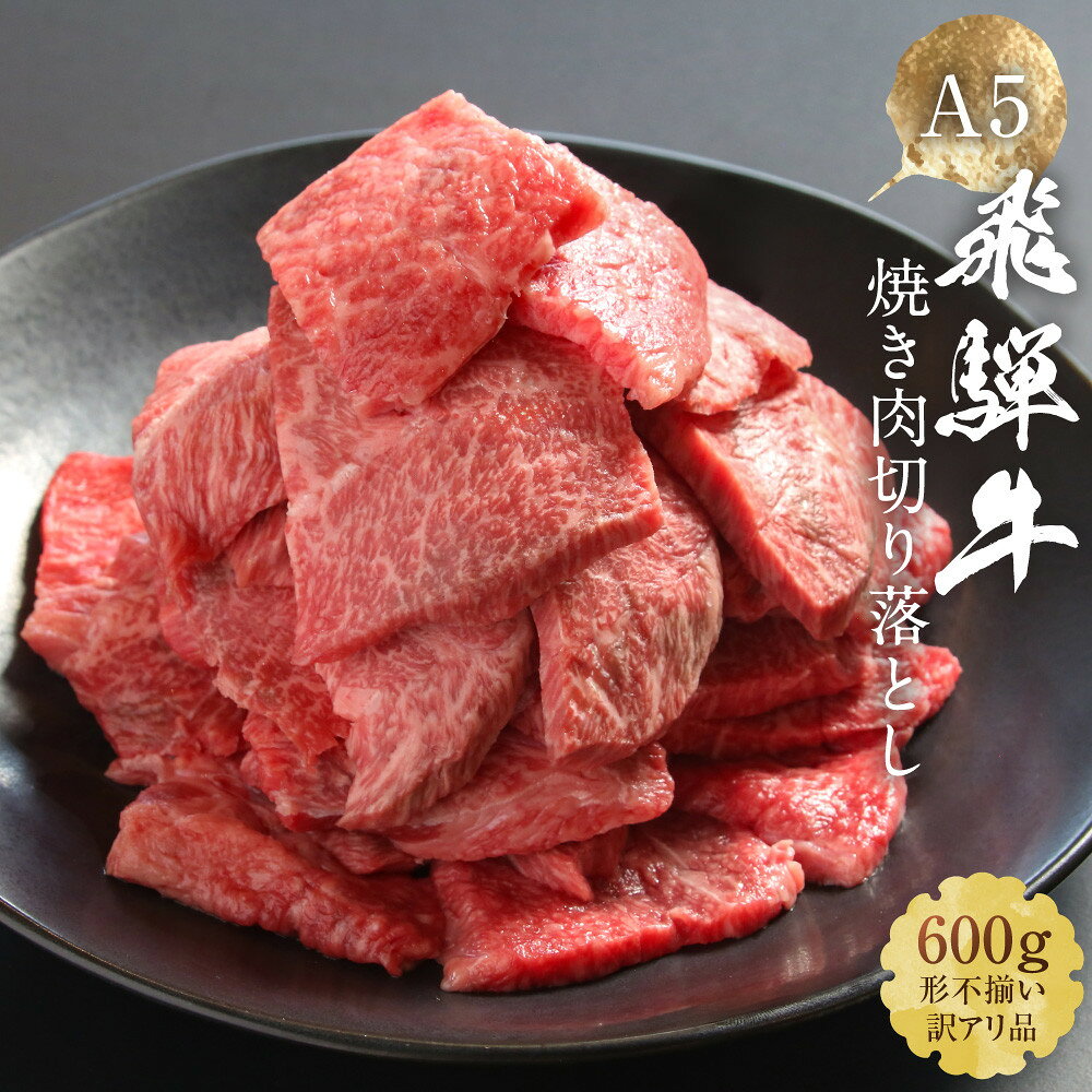 【ふるさと納税】【訳あり】A5等級飛騨牛 焼肉 切り落とし600g | 訳あり わけあり 牛肉 肉 和牛 キャンプ 肉料理 ブランド牛 不揃い 人気 国産 お取り寄せ グルメ おすすめ 株式会社岩ト屋 15000円 HF040MP