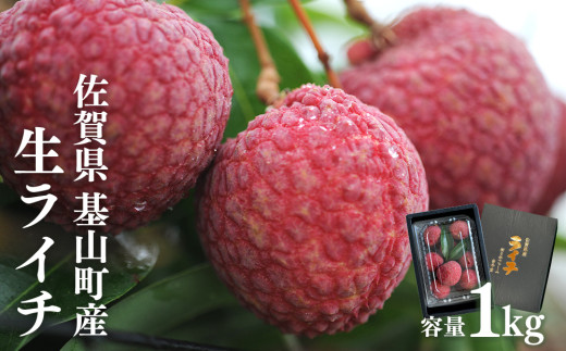 【先行受付】佐賀県産ライチ 1kg(贈答用)【生ライチ ライチ 生 基山町産 贈答用 貴重 国産 新鮮 フレッシュ 肉厚 シャーベット 1kg お中元 贈り物】 B5-C060001