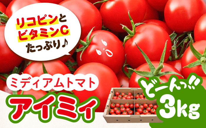 「食の安全」を守りたい！自然を活用した低農薬栽培！【11月上旬～翌年6月末まで順次発送】ミディアムトマト 3kg 江田島市/有限会社グリーンファーム沖美 [XAB001]