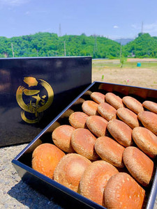 秩父のブランドしいたけ ちちぶたろう　菌床しいたけ約750g No.221